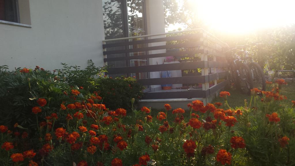 Aparthotel Vila Tufi Velipoje Bilik gambar